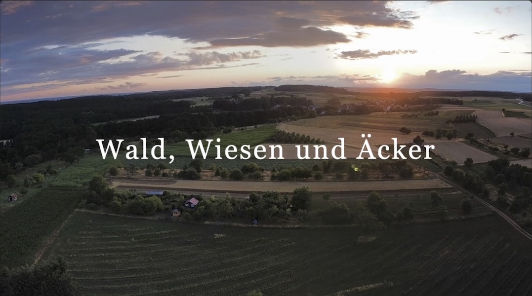 Morgenstimmung über dem Honingser Berg